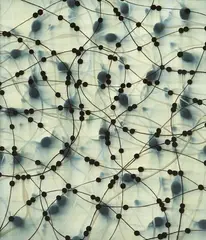 Mark Francis, Symbiosis (Mesh), 1999, Oil on canvas