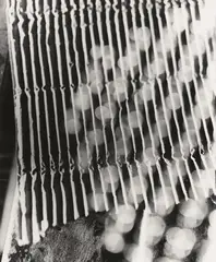 Klaus Wittkugel, Wellpappe. Untitled. Untitled, 1927, Three gelatin silver prints, printed 1977. Each print approx