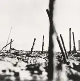 Serge Vandercam, Untitled (On the beach of Nieuport), 1948, Vintage gelatin silver print on Agfa paper