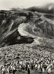 Sebastião Salgado, Antarctica, 2005, Gelatin silver print