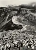 Antarctica by Sebastião Salgado, 2005, Gelatin silver print, sold May 2019