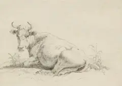 A Resting Cow by Netherlandish School 18th century, Pencil on paper, sold May 2019