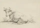 Netherlandish School 18th century, A Resting Cow, Pencil on paper