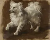 German School 19th century, Oil Study of a Dog (Spitz), Oil on scrap canvas