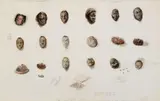 Michaël Borremans, Out of Oblivion