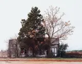 William Christenberry, Palmist Building (Winter), Havana Junction, Alabama