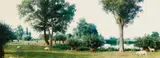 Jan Koster, Kamperveen, 1994, Collage: 36 chromogenic prints on card. Overall dimensions