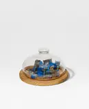 Dieter Roth, Blaue Käsewolke, 1970/1971, Acrylic and mould on cheese on wooden board under glass cover. Ø