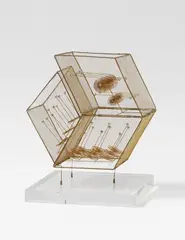 Tondi by Günter Haese, 1983, Brass and phosphorus bronze, sold Dec 2018