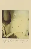 Cy Twombly, Untitled