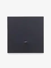 Turi Simeti, Un ovale nero, 1978, Acrylic on textured canvas
