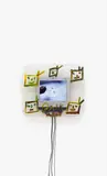 Nam June Paik, Tiger lives
