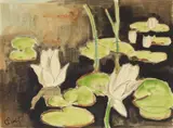 Karl Schmidt-Rottluff, Seerosen