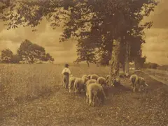 Heinrich Kühn, Untitled (Heimtrieb), c. 1900, Combination gum dichromate print on textured water colour paper, varnished