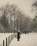 August Sander, Winter im Stadtwald