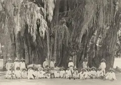 Ernst Hugo Brehme, Untitled (Views of Mexico), 1910s/1920s, 173 gelatin silver prints, printed 1920s. Each print approx