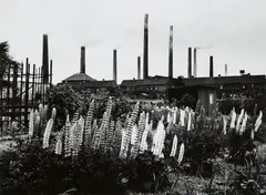 Peter Thomann, Schwarz/Weiß/Ruhr, 1964, Portfolio containing 6 gelatin silver prints, printed 2017. Each print approx