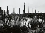 Peter Thomann, Schwarz/Weiß/Ruhr, 1964, Portfolio containing 6 gelatin silver prints, printed 2017. Each print approx