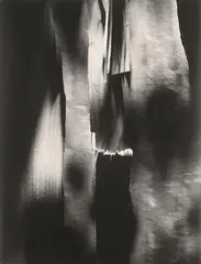 Serge Vandercam, Bois, 1949, Vintage ferrotyped gelatin silver print on Leonar paper