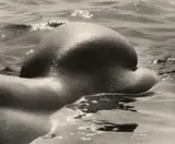 Lucien Clergue, Untitled (from the series: Nus de la mer)