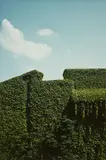 Luigi Ghirri, Ferrara (from the series: da Topografia - Iconografia)