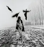 Mario Lasalandra, Spaventopasseri, 1972, Gelatin silver print