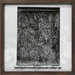 Vergrasung (from the series: Erinnerungsspur) by Dieter Appelt, 1977, Gelatin silver print, printed, sold Nov 2018