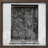 Dieter Appelt, Vergrasung (from the series: Erinnerungsspur)