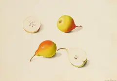 Franz Blascheck, Pears, Watercolour