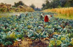 Mikhail Andreevich Berkos, The Cabbage Harvest, Oil on canvas