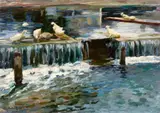 Alexander Koester, Ducks in a Weir, Oil on canvas