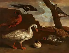 Pietro Neri Scacciati, Birds in a Landscape, Oil on canvas (relined)
