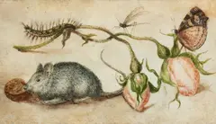 A Mouse, Caterpillar, Dragonfly, Butterfly, and two Rosebuds by attributed to Jan Brueghel the Elder, Watercolour and gouache on parchment, sold Nov 2018