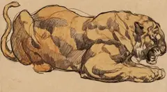 Crouching Puma by Paul Jouve, Watercolour over chalk pastel and black tempera on laid paper. Signed upper left: Paul Jouve Framed under glass, offered Nov 2018