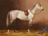 Emil Volkers, Two Depictions of Saddled Horses in Stables