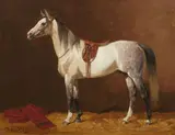 Emil Volkers, Saddled Horse in a Stable