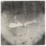Mike and Doug Starn, Attracted to Light 5, 1996 – 2003, Gelatin silver print on tissue paper
