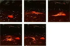 Andy Goldsworthy, River Rock, drawn over with a soft red stone, Scaur Water, Dumfriesshire, 1992, Photo work in 5 parts: chromogenic prints, each mounted to card. Each print