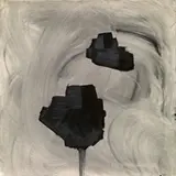Rafał Bujnowski, Lamp Black, 2007, Oil on canvas