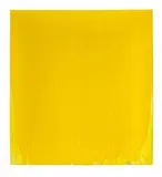 Joseph Marioni, Yellow painting