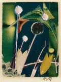 Hannah Höch, Nachtgewächse