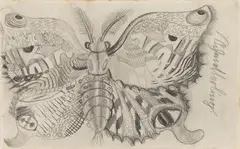 Schmetterling by Otto Dix, 1922, Pencil drawing on paper (the verso of a treatment sheet of the spa Helios Düsseldorf), offered Jun 2018