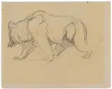 Franz Marc, Schreitender Bär. Verso: Spielende Panther, Katze auf Kissen, Löwe (Fragment)