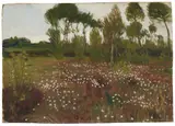 Otto Modersohn, Heidelandschaft im Moor mit Wollgras