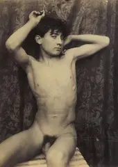 Untitled by Guglielmo (Wilhelm) Plüschow, c. 1890, Albumen print, sold Jun 2018
