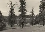 Albert Renger-Patzsch, Parklandschaft, Cappenberg