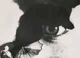 Anton Stankowski, Foto-Auge