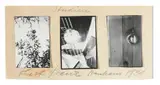 Kurt Kranz, Studien, 1931, 3 vintage gelatin silver contact prints. Mounted to original card