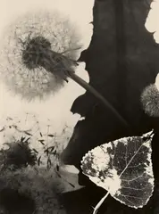 Untitled by Edmund Kesting, 1940, Vintage gelatin silver print, sold Jun 2018