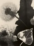 Edmund Kesting, Untitled